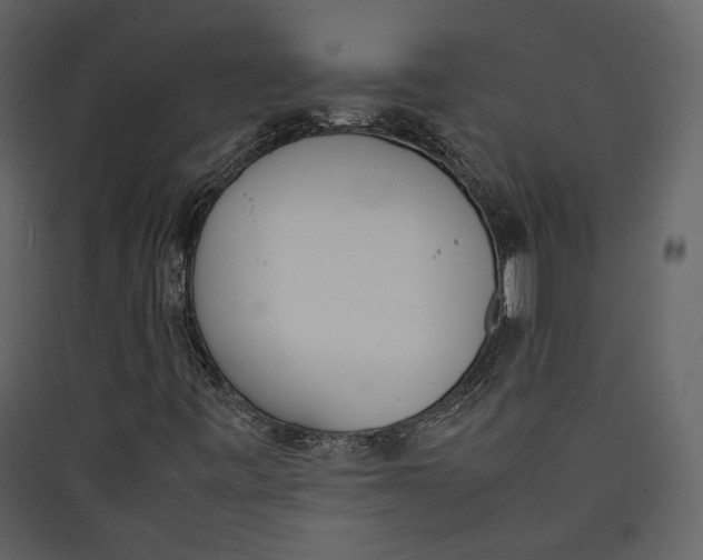 X0000089401443200707131730