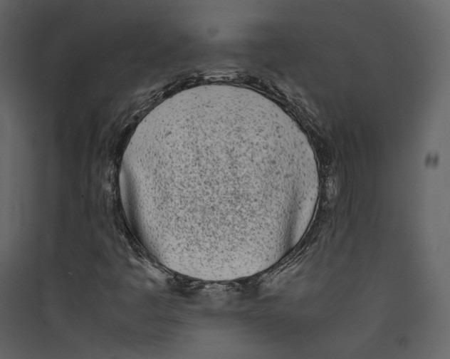 X0000089401445200707131730