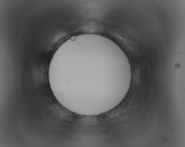 X0000089401446200707131730