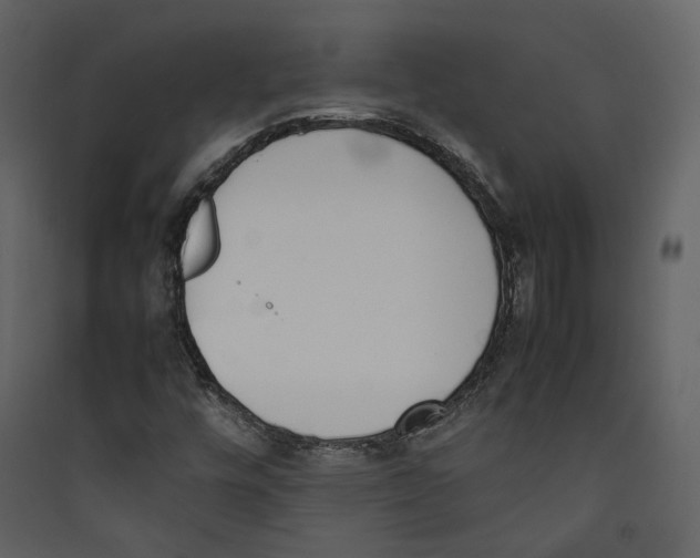 X0000089401448200707131730