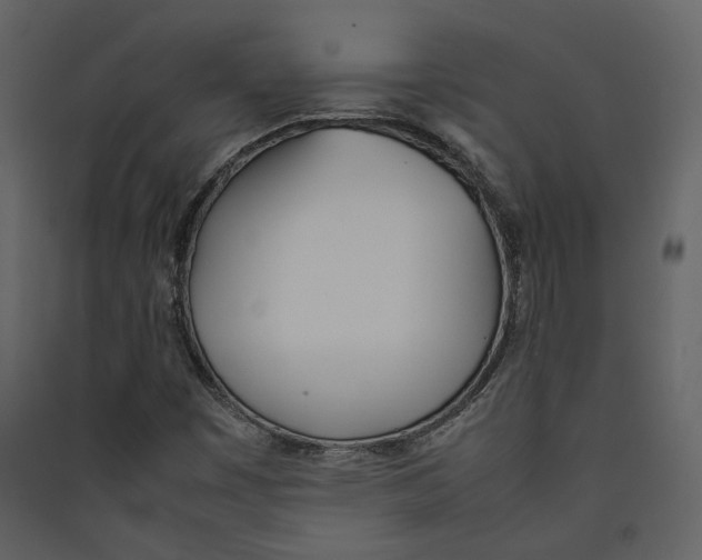 X0000089401449200707131730