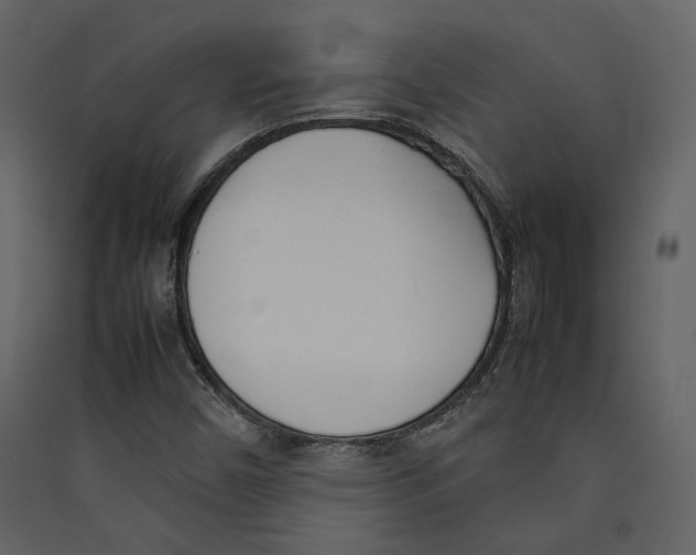 X0000089401450200707131730