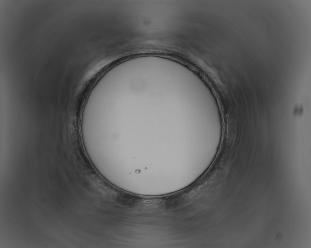 X0000089401453200707131730