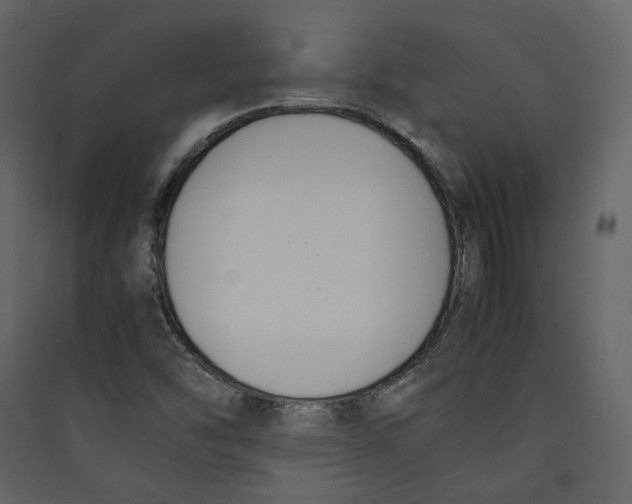 X0000089401454200707131730