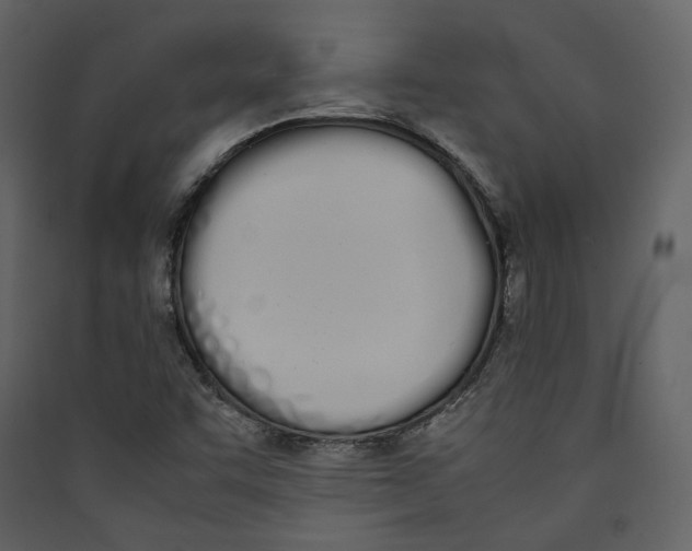 X0000089401455200707131730