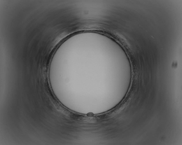 X0000089401457200707131730
