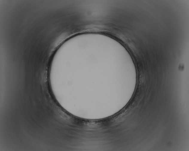 X0000089401459200707131730