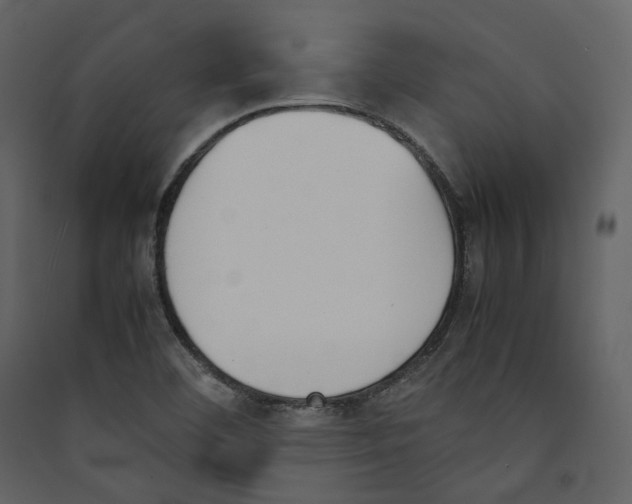 X0000089401460200707131730