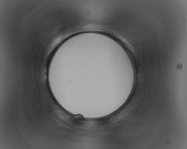 X0000089401461200707131730