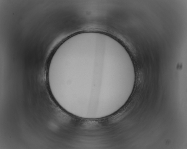 X0000089401462200707131730