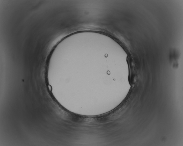 X0000089401463200707131730