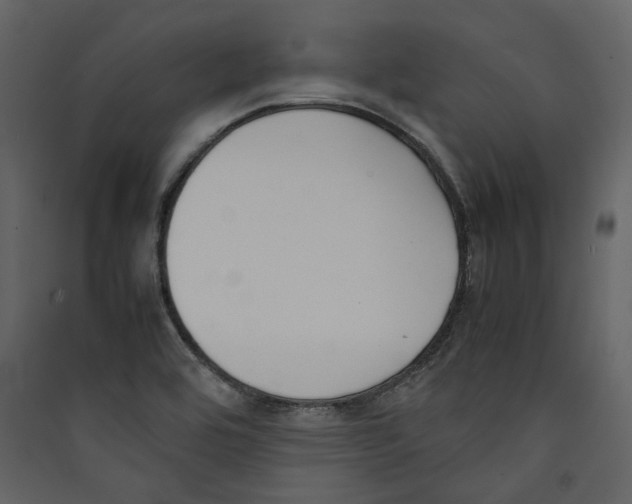 X0000089401464200707131730