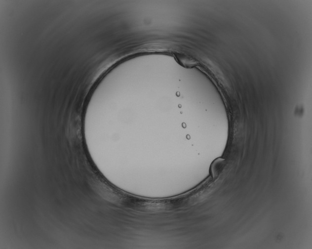 X0000089401465200707131730
