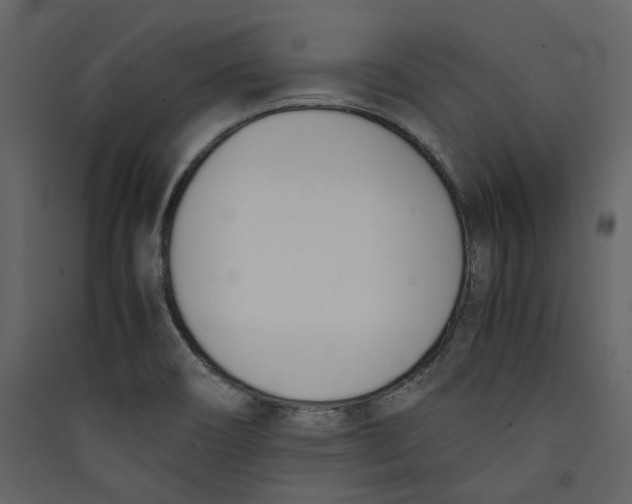 X0000089401466200707131730