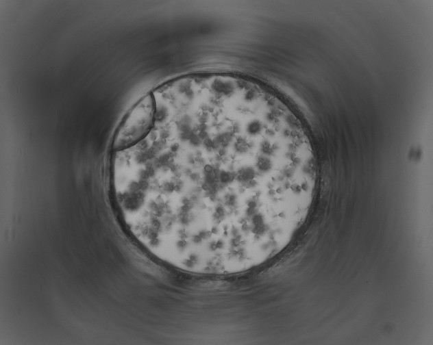 X0000089401467200707131730