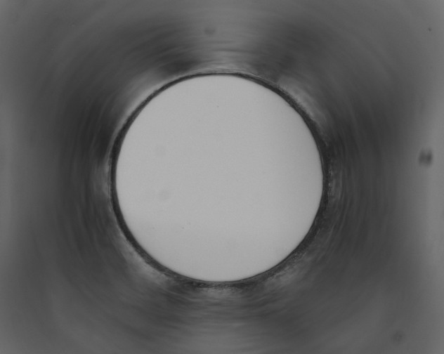 X0000089401468200707131730