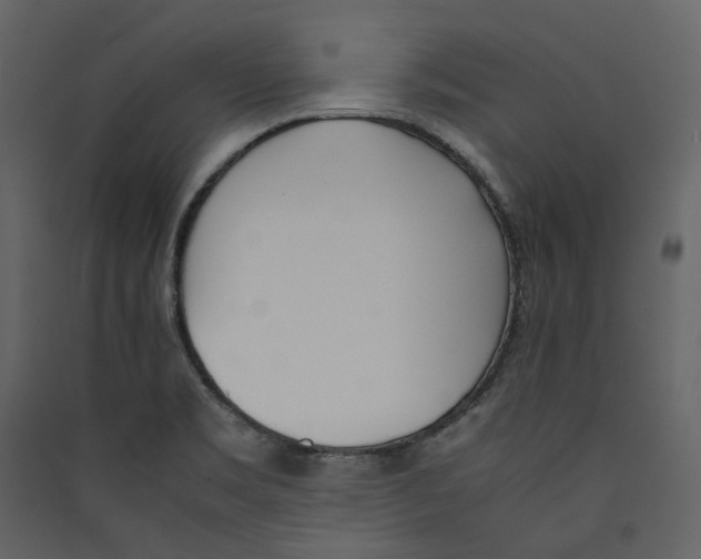X0000089401469200707131730