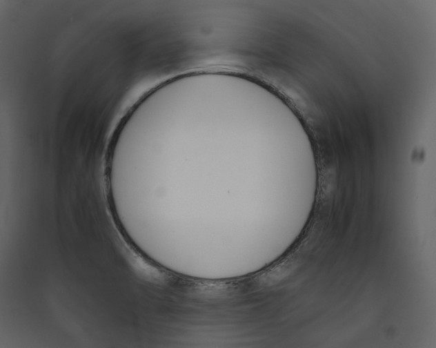 X0000089401470200707131730