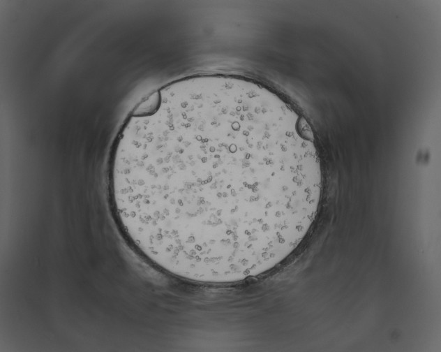 X0000089401471200707131730