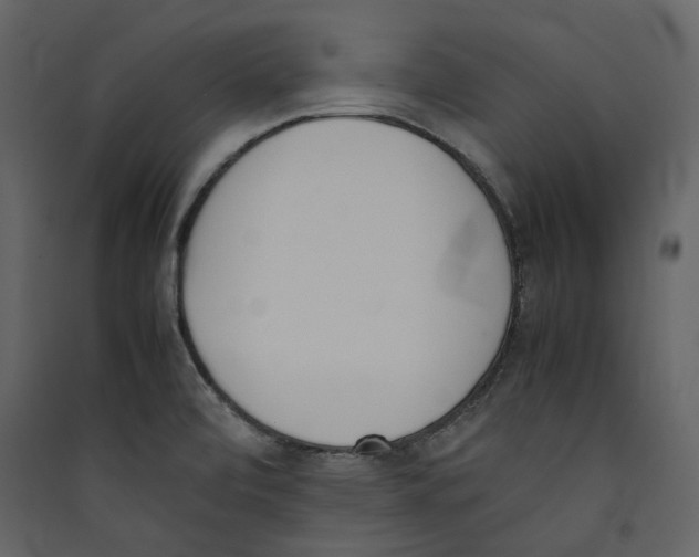 X0000089401472200707131730