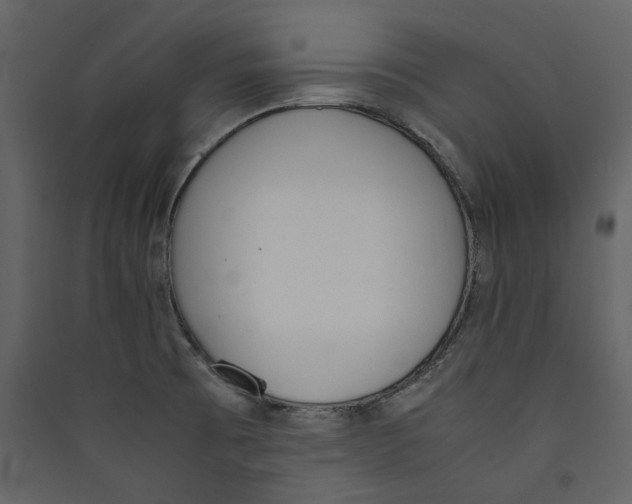 X0000089401473200707131730