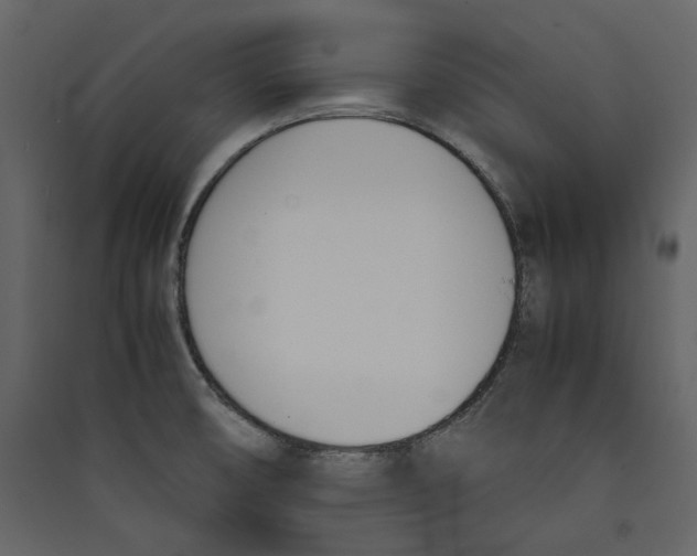X0000089401474200707131729