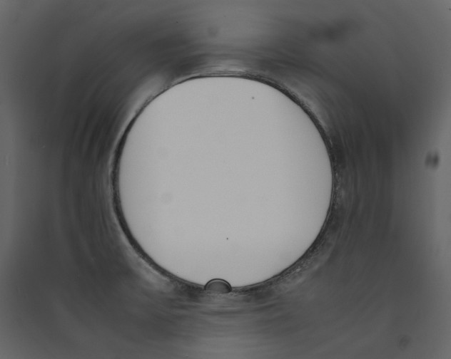 X0000089401475200707131729