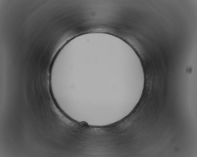 X0000089401476200707131729