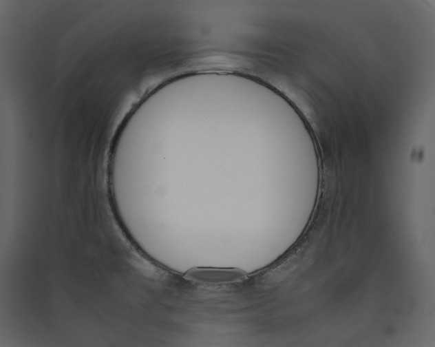 X0000089401477200707131729