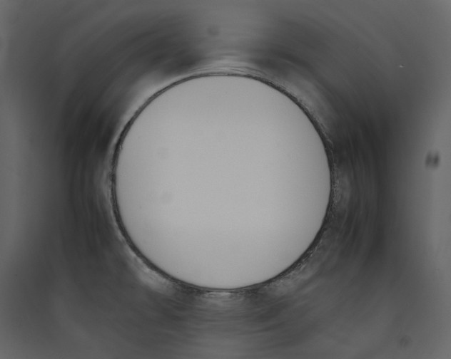 X0000089401478200707131729