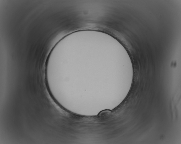 X0000089401479200707131729