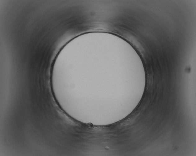 X0000089401480200707131729