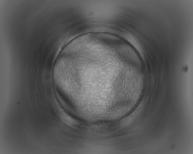 X0000089401481200707131729