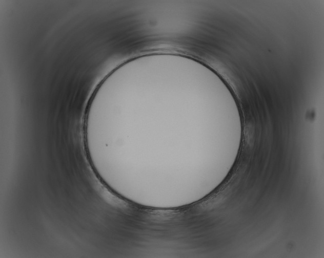 X0000089401482200707131729