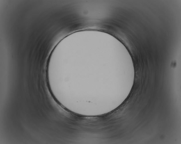 X0000089401483200707131729
