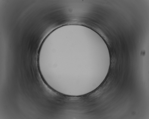 X0000089401484200707131729