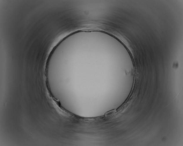 X0000089401485200707131729