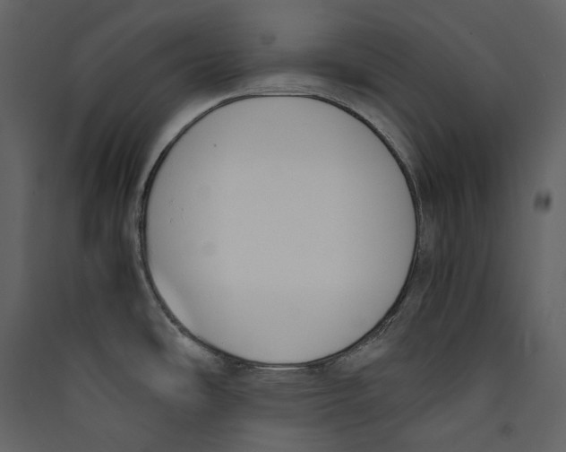 X0000089401486200707131729