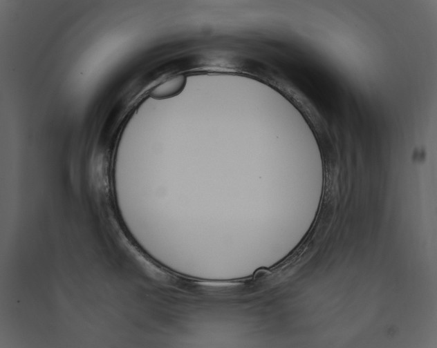 X0000089401487200707131729
