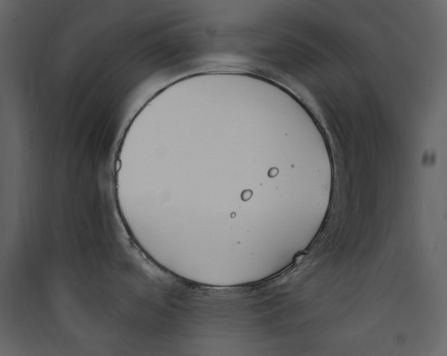 X0000089401488200707131729