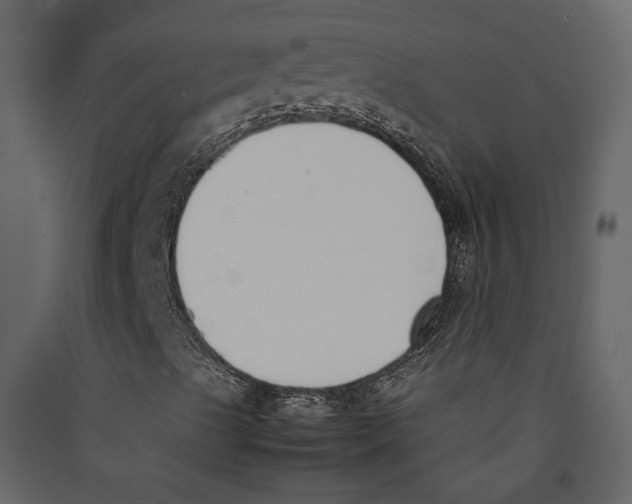 X0000089401489200707131729