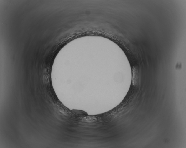 X0000089401491200707131729