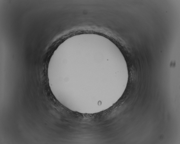 X0000089401494200707131729