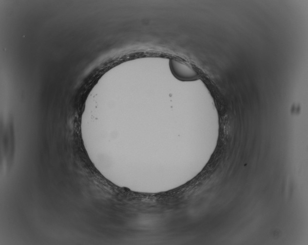 X0000089401495200707131729