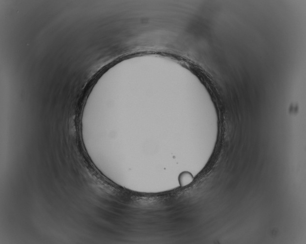 X0000089401497200707131729