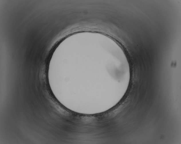 X0000089401498200707131729