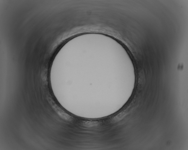 X0000089401499200707131729