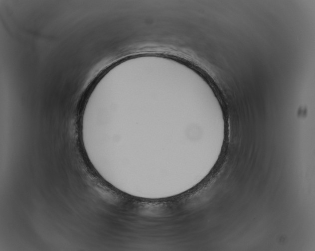 X0000089401501200707131729