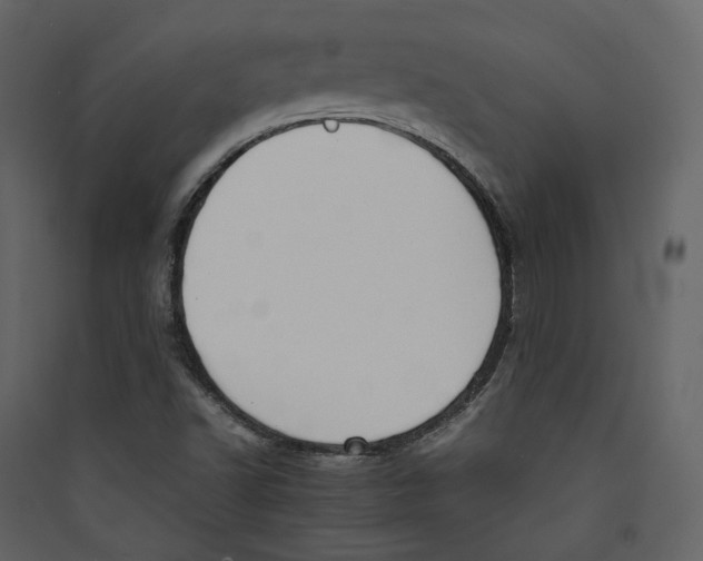 X0000089401502200707131729