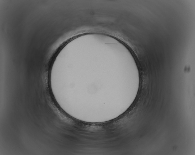 X0000089401503200707131729